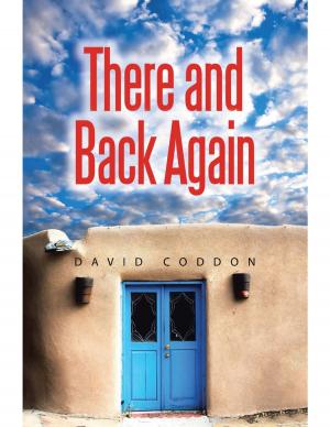 Cover of the book There and Back Again by Mik Alexandru