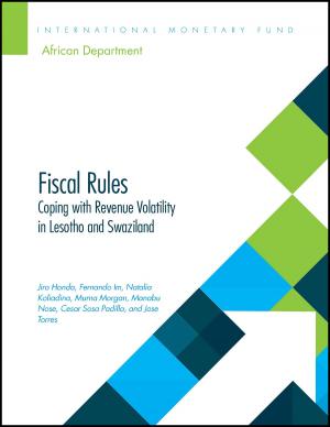 Cover of the book Fiscal Rules by 