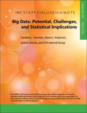 Cover of the book Big Data by Fabian Bornhorst, Annalisa Ms. Fedelino, Jan Gottschalk, Gabriela Miss Dobrescu