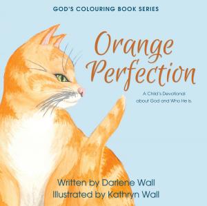 Cover of the book Orange Perfection by Hannah R.S. Hayes