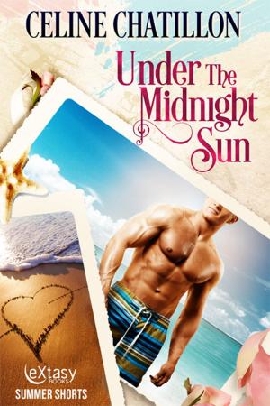Cover of the book Under The Midnight Sun by Angela Caperton