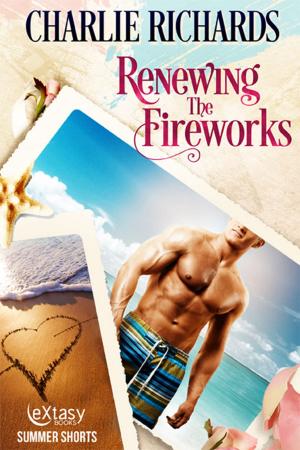 Cover of the book Renewing the Fireworks by Jasmine Cresswell