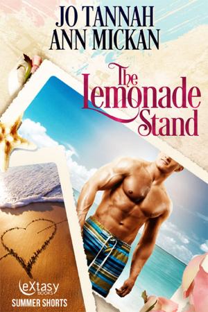 Cover of the book The Lemonade Stand by Michelle Geroux