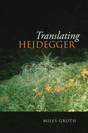 Book cover of Translating Heidegger