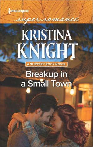 Book cover of Breakup in a Small Town