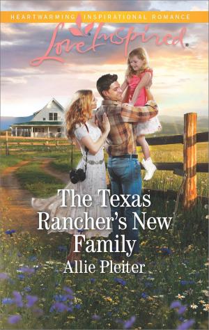 Cover of the book The Texas Rancher's New Family by Amanda Stevens