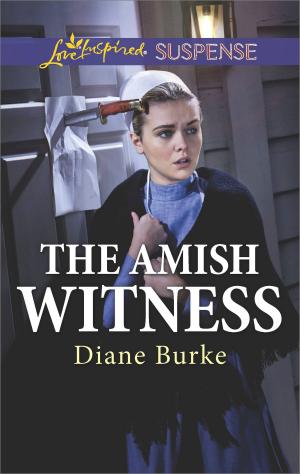Cover of the book The Amish Witness by Alfreda Enwy