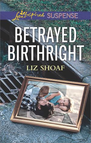 Cover of the book Betrayed Birthright by Chris Well