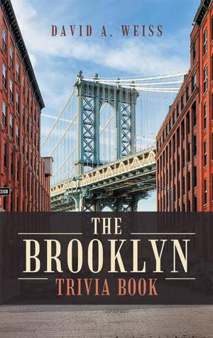 Cover of the book The Brooklyn Trivia Book by benjamin leplat