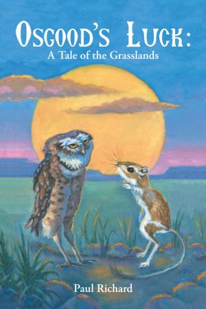 bigCover of the book Osgood’S Luck: a Tale of the Grasslands by 