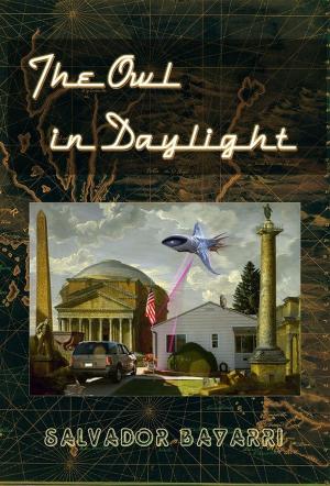 Cover of the book The Owl in Daylight by Katy Lederer