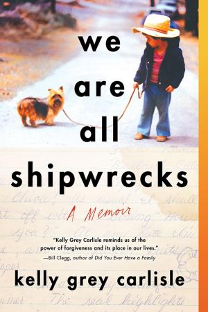 Cover of the book We Are All Shipwrecks by Louis Romano