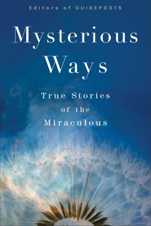 Book cover of Mysterious Ways