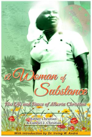 bigCover of the book A Woman of Substance by 