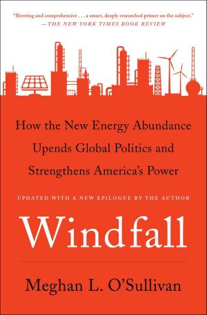 Cover of the book Windfall by Seth Godin