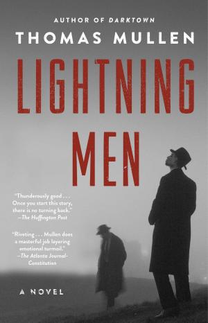 Cover of the book Lightning Men by Jon Ronson