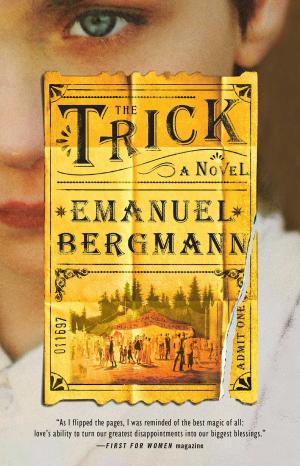 Book cover of The Trick