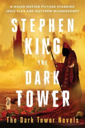 Cover of the book The Dark Tower Boxed Set by Darren Pearce, Neal Levin