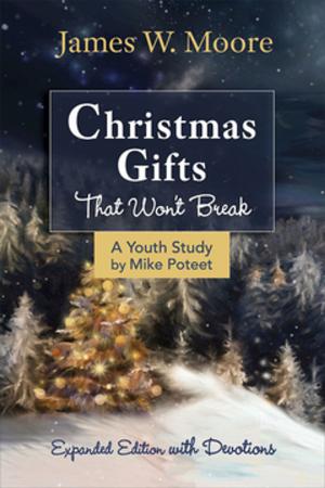 Cover of the book Christmas Gifts That Won't Break Youth Study by Jake McGlothin