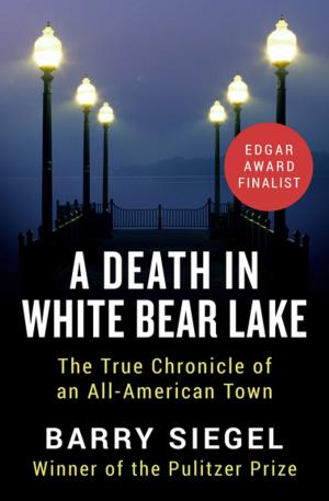 Cover of the book A Death in White Bear Lake by Erica Jong