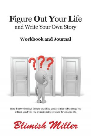 Cover of the book Figure out Your Life by Ariela Steif, Bonnie McDaniel