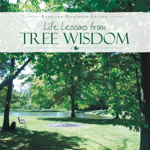 Cover of the book Life Lessons from Tree Wisdom by Jacklyn K. Brown