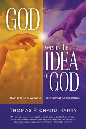 Cover of the book God Versus the Idea of God by Carol Romine