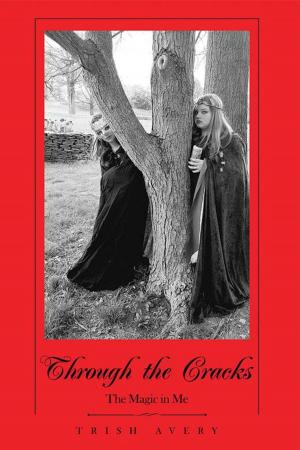 Cover of the book Through the Cracks by Carol Lynn Vengroff
