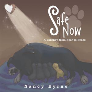 Cover of the book Safe Now by Jennifer Trias Swenson