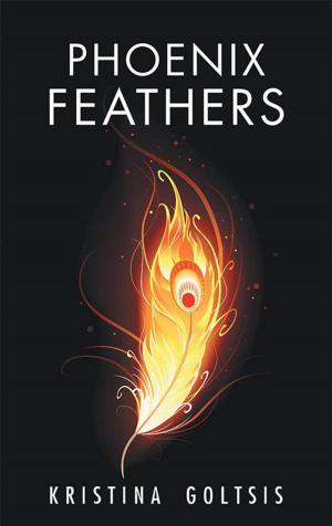 Cover of the book Phoenix Feathers by Stephen Ridley
