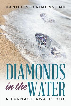 Cover of the book Diamonds in the Water by Eloise Greenfield