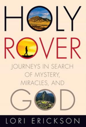 bigCover of the book Holy Rover by 