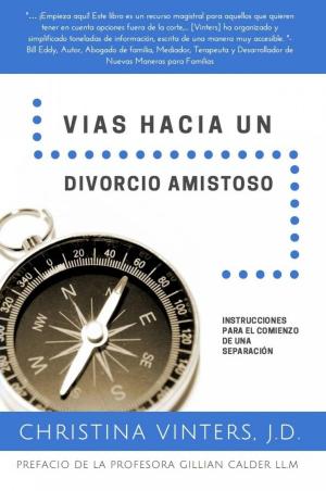 Cover of the book Vías hacia un Divorcio Amistoso by Scott S. F. Meaker