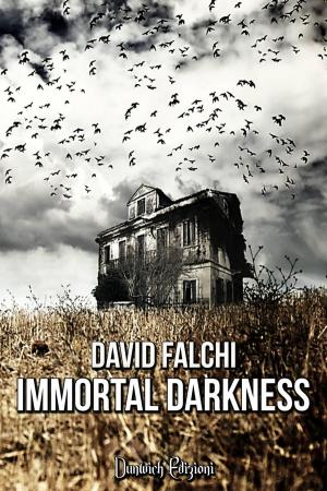Cover of the book Immortal Darkness by Jennifer Sage
