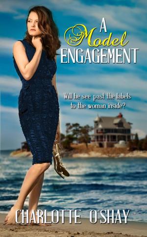 Cover of the book A Model Engagement by Barb Warner Deane