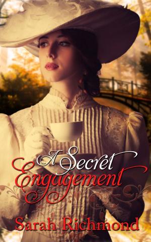 Cover of the book A Secret Engagement by Maria K. Alexander
