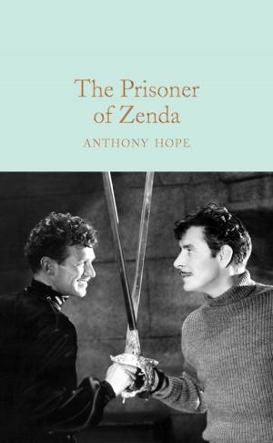 Cover of the book The Prisoner of Zenda by Frances Hodgson Burnett