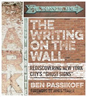 Cover of the book The Writing on the Wall by Donald J. Palmisano