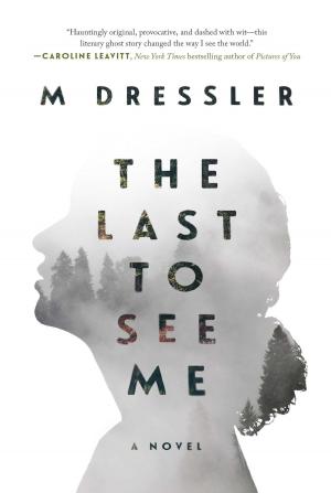 Cover of the book The Last to See Me by Mariann Andersson, Martin Skredsvik