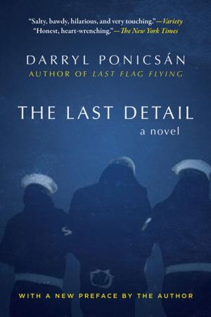 Cover of the book The Last Detail by Ilona Joy Saari