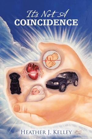 Cover of the book It’S Not a Coincidence by Terrilyn Hergott