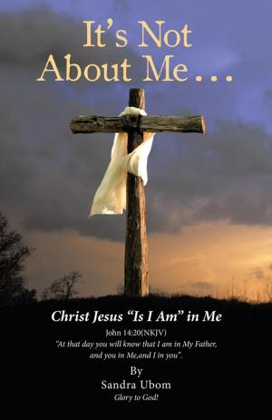 Cover of the book It’S Not About Me . . . by Alan E. Stewart