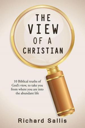 Cover of the book The View of a Christian by Steven Wesley Land
