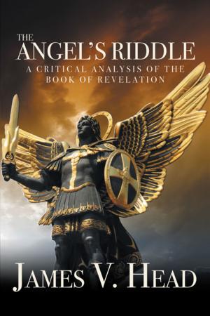 Cover of the book The Angel’S Riddle by Jennifer Ritchie
