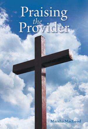 Cover of the book Praising the Provider by Arthur Dunlap Jr.