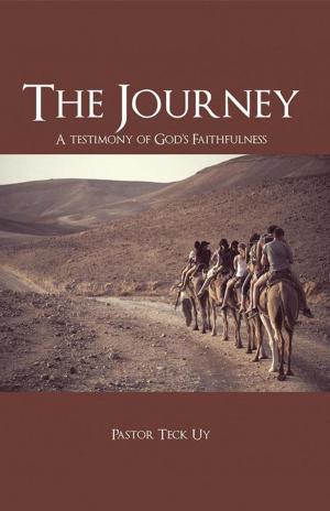 Cover of the book The Journey by George Kaufinger