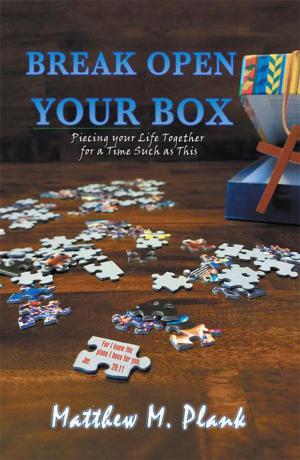 Cover of the book Break Open Your Box by Marilyn Sanders Mobley PhD