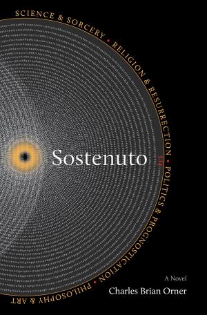 Cover of the book Sostenuto by Samantha Holmes