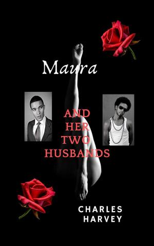 Cover of the book Maura And Her Two Husbands by Annette Oaks Pierce