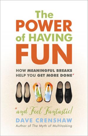 Cover of the book The Power of Having Fun by James E. Kee JD, MPA, Kathryn E. Newcomer PhD